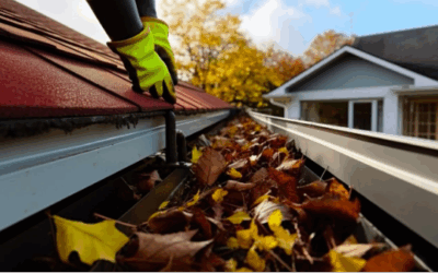 Prevent Water Damage: The Importance of Regular Gutter Cleaning